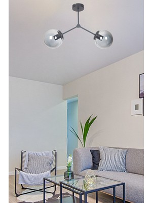 Teknotrust Focus Modern Tasarım Salon - Mutfak - Cafe - Hol - Yatak Odası Siyah Renk Füme Camlı 2 Li Avize