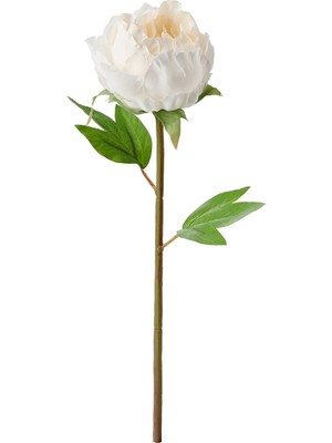 Ikea Smycka Yapay Çiçek Beyaz Şakayık 30 cm 80409783