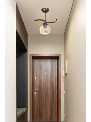 Fuji Salon - Mutfak - Yatak Odası - Hol - Kahverengi Renk Bal Camlı Tekli Avize