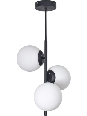 Teknotrust Sarmaşık Modern Tasarım Salon Mutfak Yatak Odası Siyah Renk Beyaz Camlı 3 Lü Avize