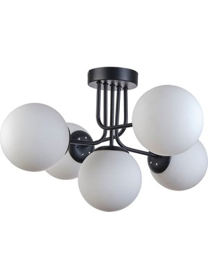 Teknotrust Picasso Modern Tasarım Salon Mutfak Yatak Odası Siyah Renk Beyaz Camlı 5 Li Avize