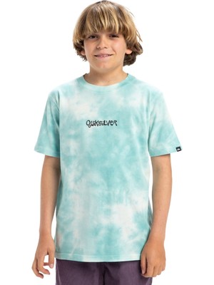 Quiksilver Frog Rıtual Ss Tee Youth