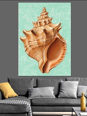 Deniz Kabuğu Çizimi Dekoratif Kanvas - Mdf Ahşap Tablo