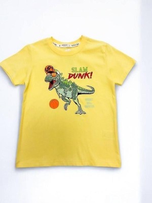 Breeze Erkek Çocuk Pamuklu Dinazor Baskılı Yarım Kol Tshirt