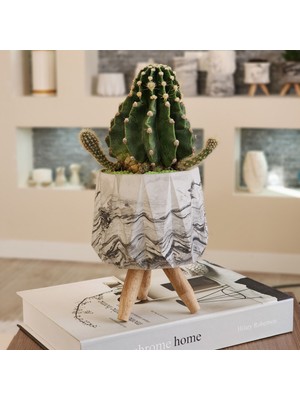 El Yapımı Ahşap Ayaklı Antrasit Desenli Beyaz Beton Saksı - Minimalist Dekoratif Saksı