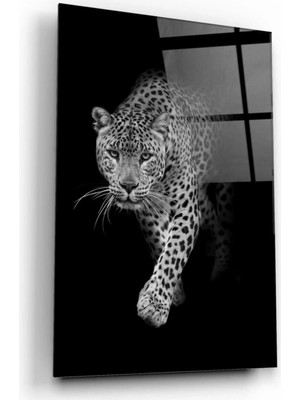 Leopar Cam Tablo