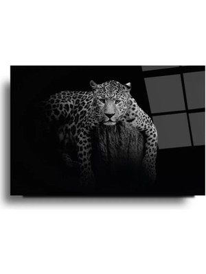 Siyah Zemin Asil Leopar Cam Tablo