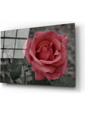 Marsilyan Gül 1 Cam Tablo