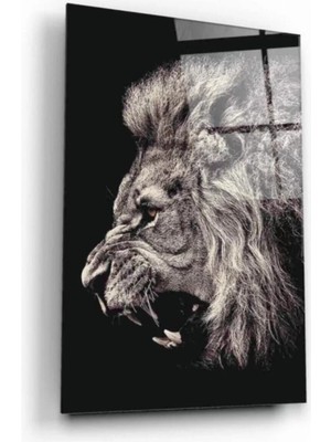 Aslan Cam Tablo