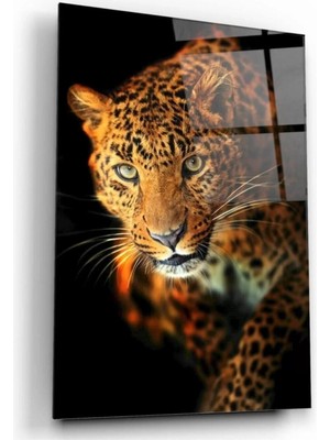 Leopar Cam Tablo