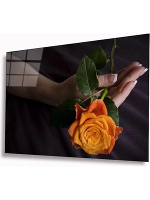 Marsilyan- Gül Cam Tablo