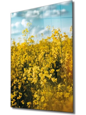 Marsilyan- Sarı Manzara Cam Tablo Yellow Landscape