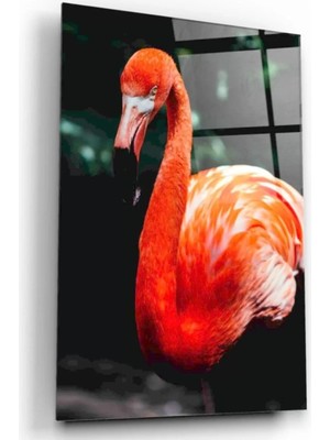 Marsilyan- Flamingo Cam Tablo