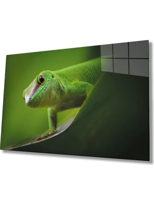 Marsilyan- Hayvan Yeşil Cam Tablo   Green Animal