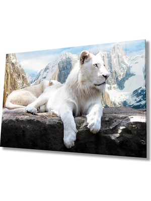 Marsilyan- Aslan Cam Tablo