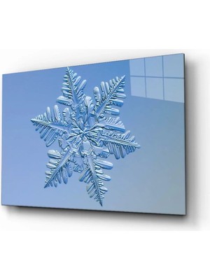 Marsilyan- Kar Tanesi Cam Tablo