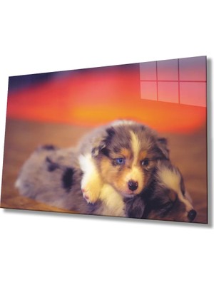 Marsilyan- Sarılan  Köpekler Cam Tablo