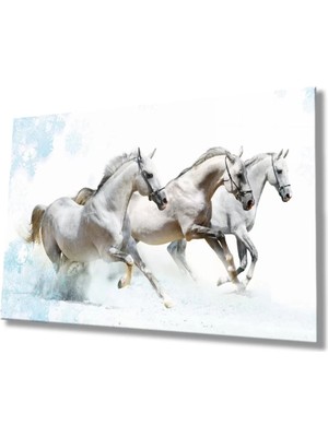 Beyaz Atlar Hayvanlar Cam Tablo, Ev ve Ofis Duvar Dekoru,