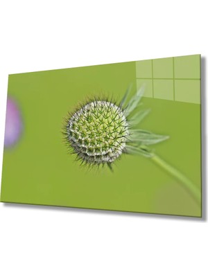 Marsilyan- Yeşil Bitki Çiçek Cam Tablo