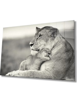 Marsilyan- Aslan Cam Tablo