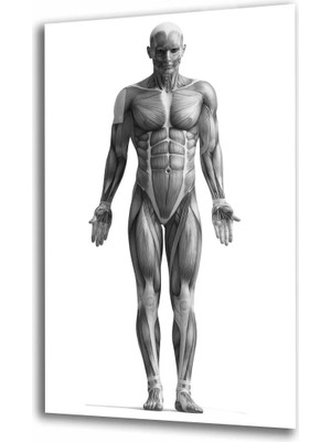 Marsilyan- Spor Fıtnes Cam Tablo