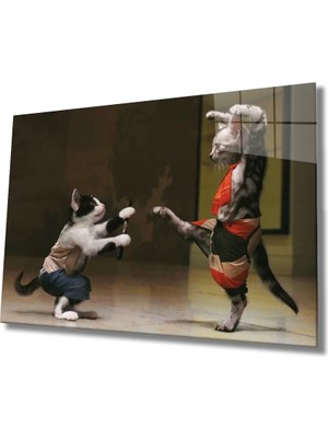Marsilyan- Kediler Savaşı Cam Tablo Fighting Of Cats