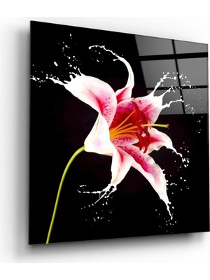 Marsilyan- Çiçek Cam Tablo