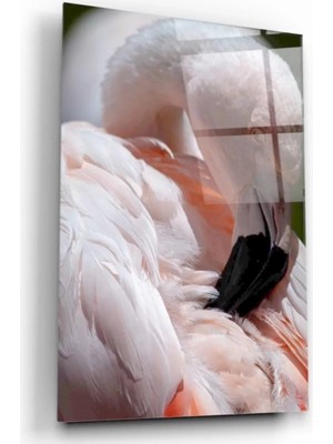 Marsilyan- Flamingo Cam Tablo