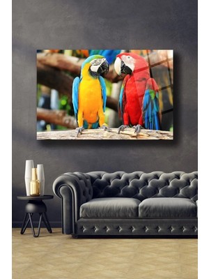Renkli Papağan Cam Tablo