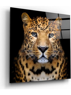 Marsilyan Leopar Cam Tablo