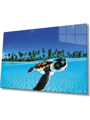 Marsilyan- Su Kaplumbağası Cam Tablo