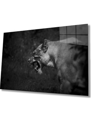 Marsilyan- Aslan Cam Tablo