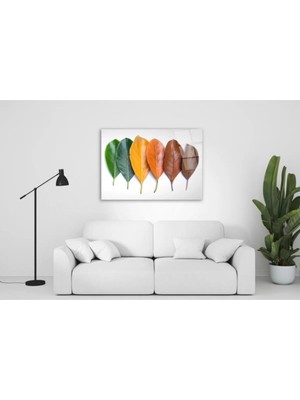 Marsilyan- Yapraklar Cam Tablo