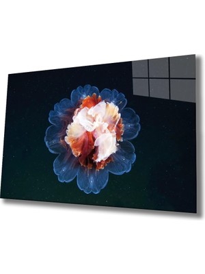 Marsilyan- Sualt Canlılar Cam Tablo Marine Life