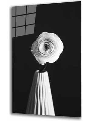 Marsilyan- Beyazgül Cam Tablo