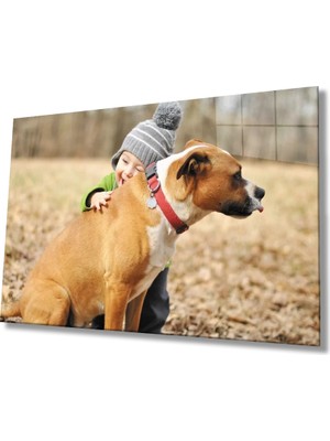 Marsilyan- Köpek ve Çocuk Cam Tablo