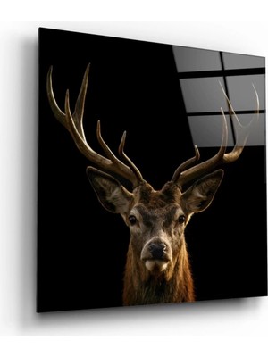 Marsilyan- Geyik Cam Tablo