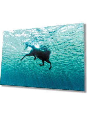 Marsilyan- Yüzen At  Sualtı Cam Tablo