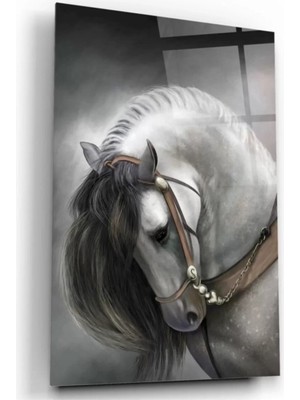 Marsilyan- Yılkı Atı Cam Tablo