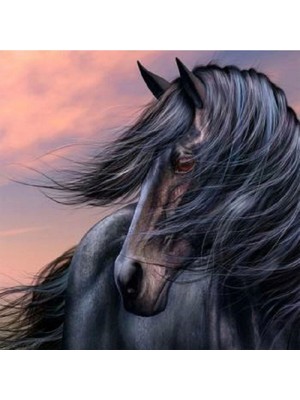 Kanvas Siyah Inci Sayılarla Boyama Seti  Rulo