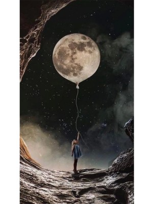 Kanvas Uçan Dolunay Sayılarla Boyama Seti Rulo