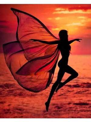 Kanvas Sahildeki Kelebek Kadın Sayılarla Boyama Setirulo