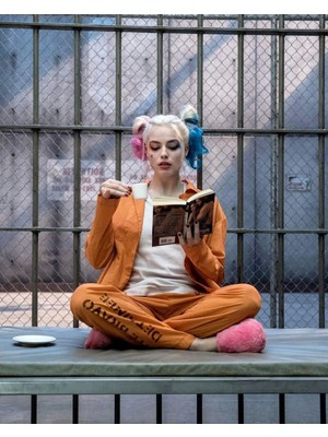 Kanvas Harleyquinn'in Bir Günü Sayılarla Boyama Seti  Rulo