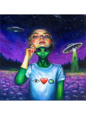 Kanvas Uzaydan Gelen Misafir Sayılarla Boyama Seti Rulo