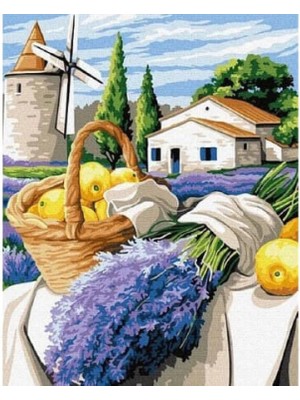 Kanvas Değirmendeki Lavanta Sayılarla Boyama Seti Rulo