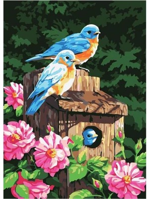 Kanvas Mavi Kuşlar ve Çiçekler Sayılarla Boyama Seti Rulo