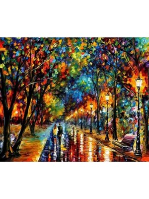 Kanvas Renkli Yağmur Sayılarla Boyama Seti Rulo