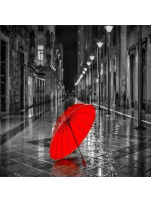 Kanvas Gri Sokaklar ve Kırmızı Şemsiye Sayılarla Boyama Seti  Rulo