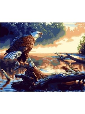 Kanvas Göldeki Kartal Sayılarla Boyama Seti Rulo