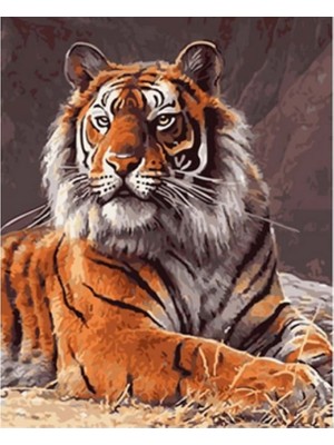 Kanvas Güçlü Kaplan Sayılarla Boyama Seti Rulo